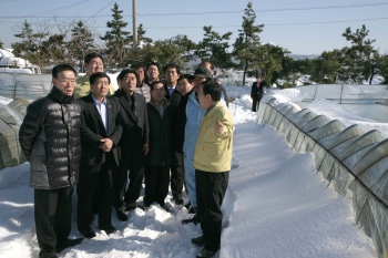 경북도의회 농수산위원회 폭설피해지역 현지확인 대표이미지